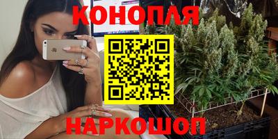 PSILOCYBIN Кинель