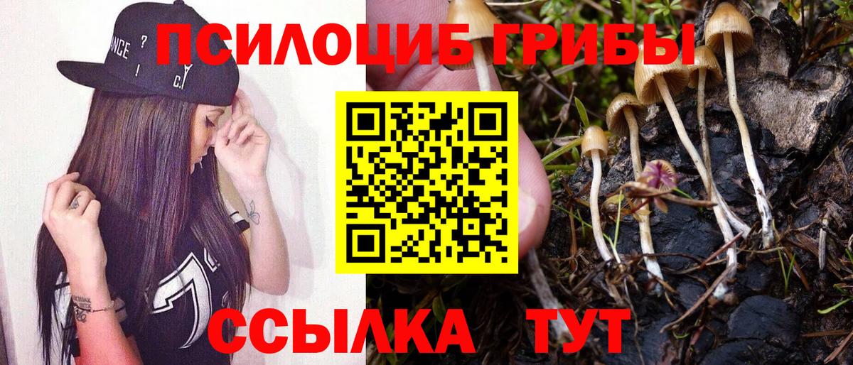 Галлюциногенные грибы MAGIC MUSHROOMS  Вход с VPN  Галлюциногенные грибы мухоморы  Минеральные Воды 