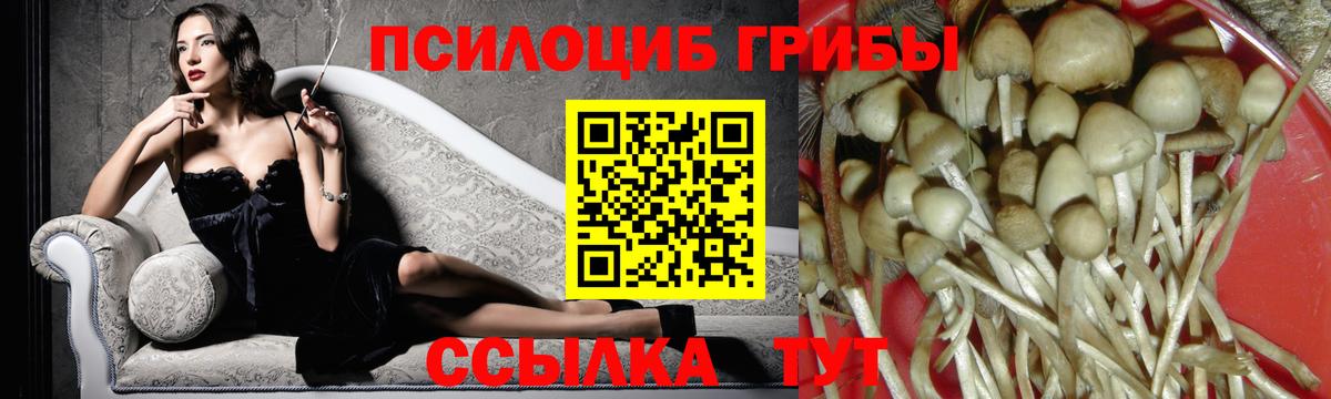 Псилоцибиновые грибы Magic Shrooms Минеральные Воды