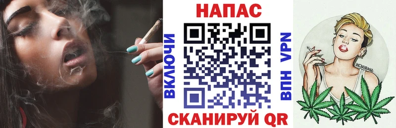 Канабис конопля  shop наркотические препараты  Минеральные Воды 